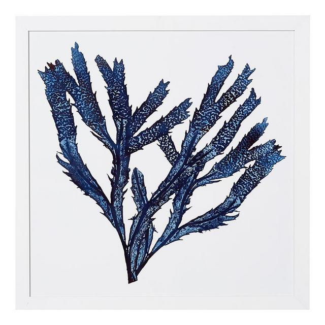 Framed Coral Print #3, Indigo, 25 x 25"