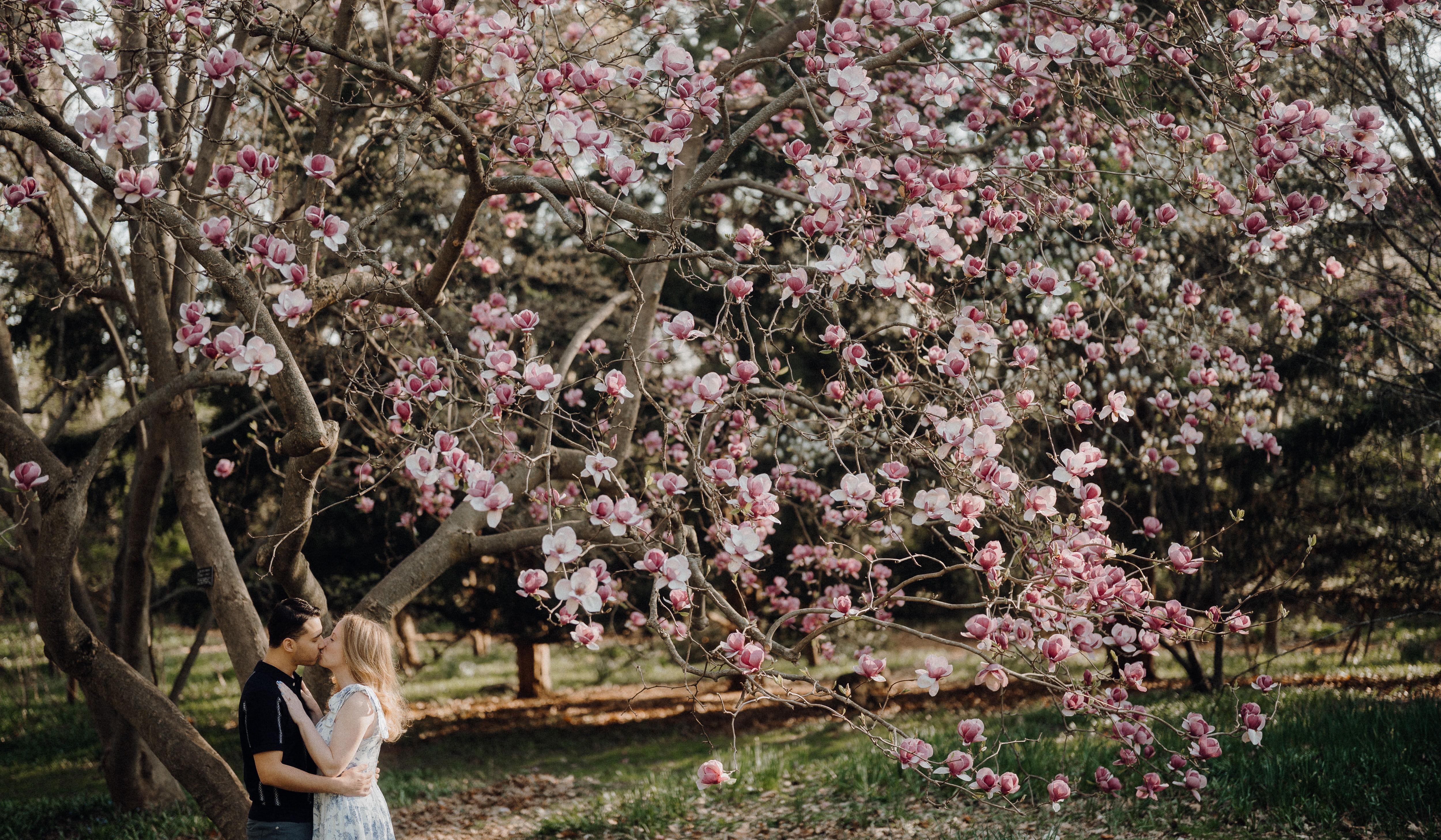 Hero Slideshow Image 0