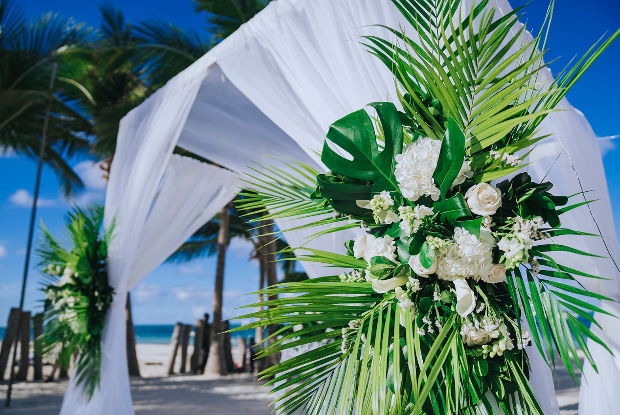 The Wedding Website of Dan Ksiazak and Danielle Desmarais