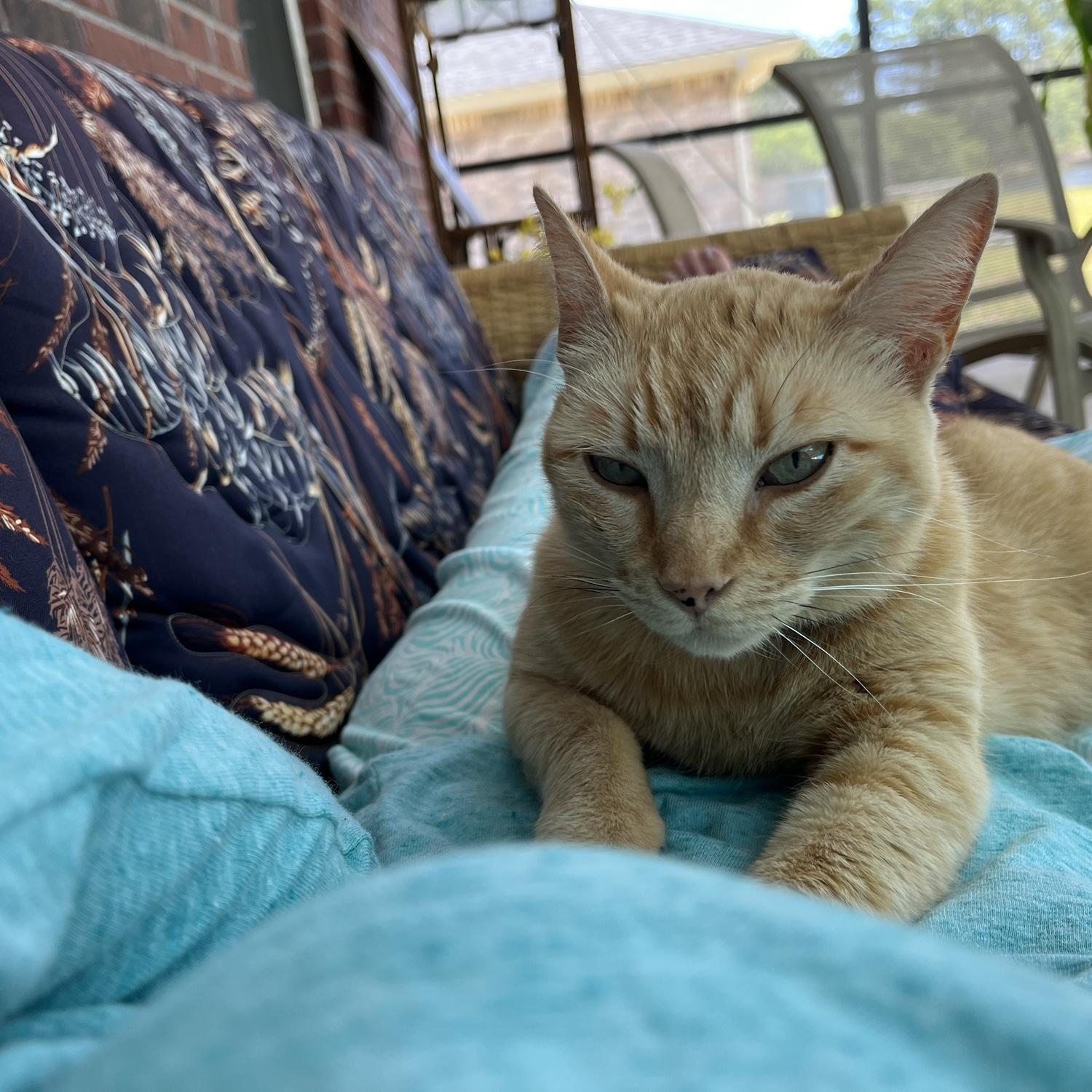 Luv me some Wila 🧡
