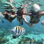Snorkeling