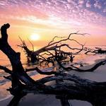 Big Talbot Island State Park