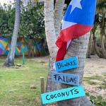 Activities Around Rincón