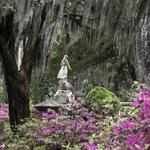 Bonaventure Cemetery