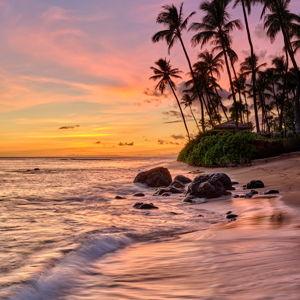 Honeymoon fund - Credit Card 2.5% fee