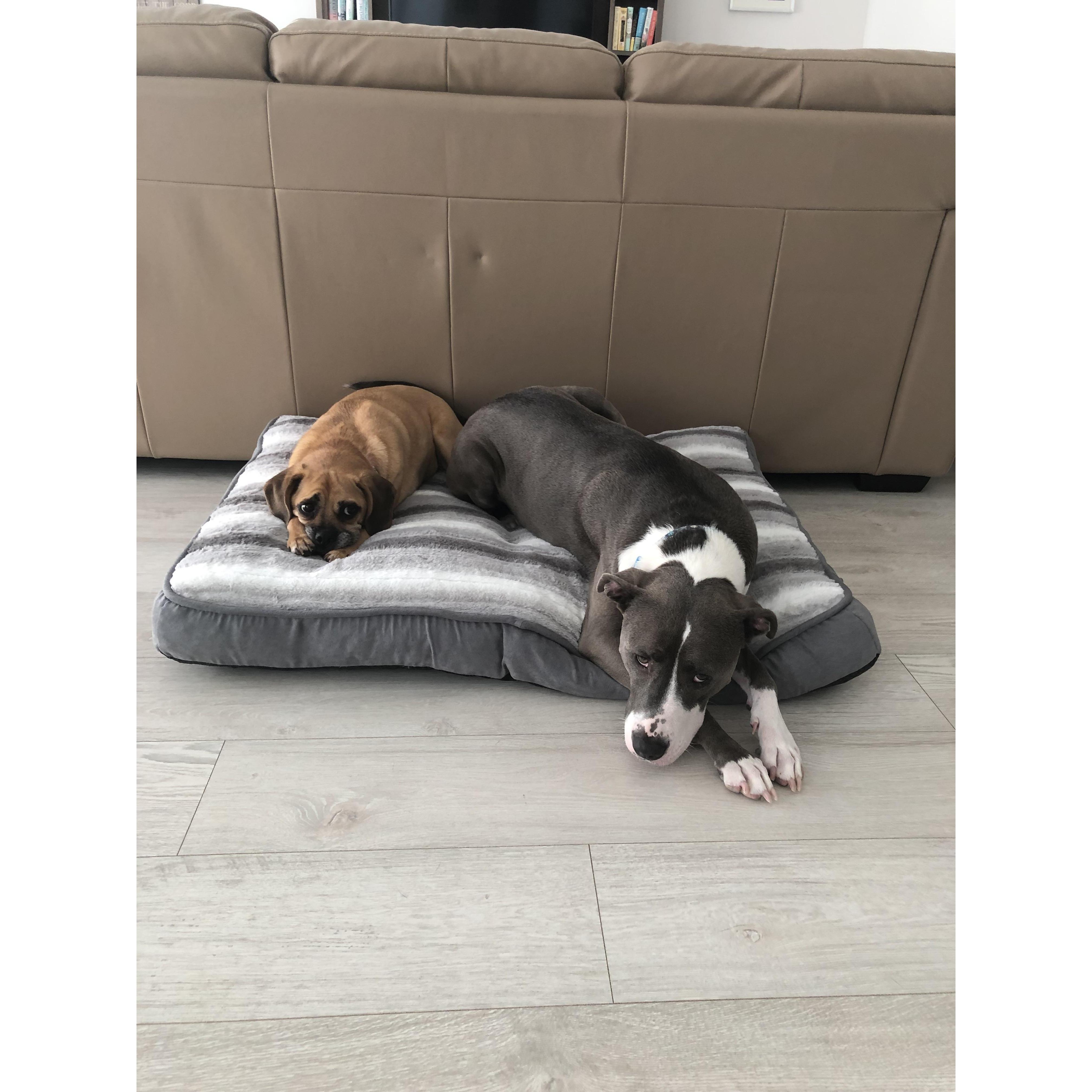 Kenzie and Zoe, the children