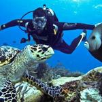 SCUBA Diving
