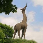Dallas Zoo