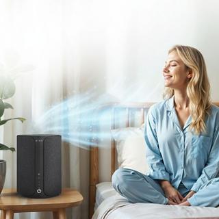 Ibuki 2.0 Air Purifier