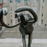 Morrill Hall