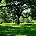 City Park