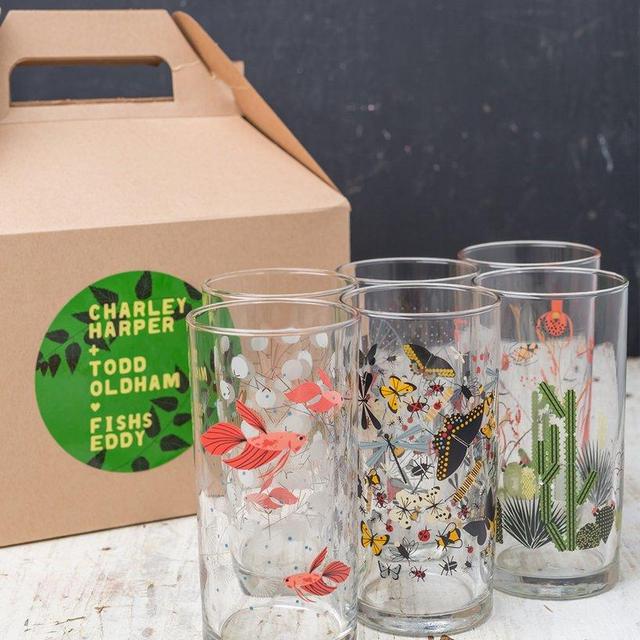 Desert cactus glasses
