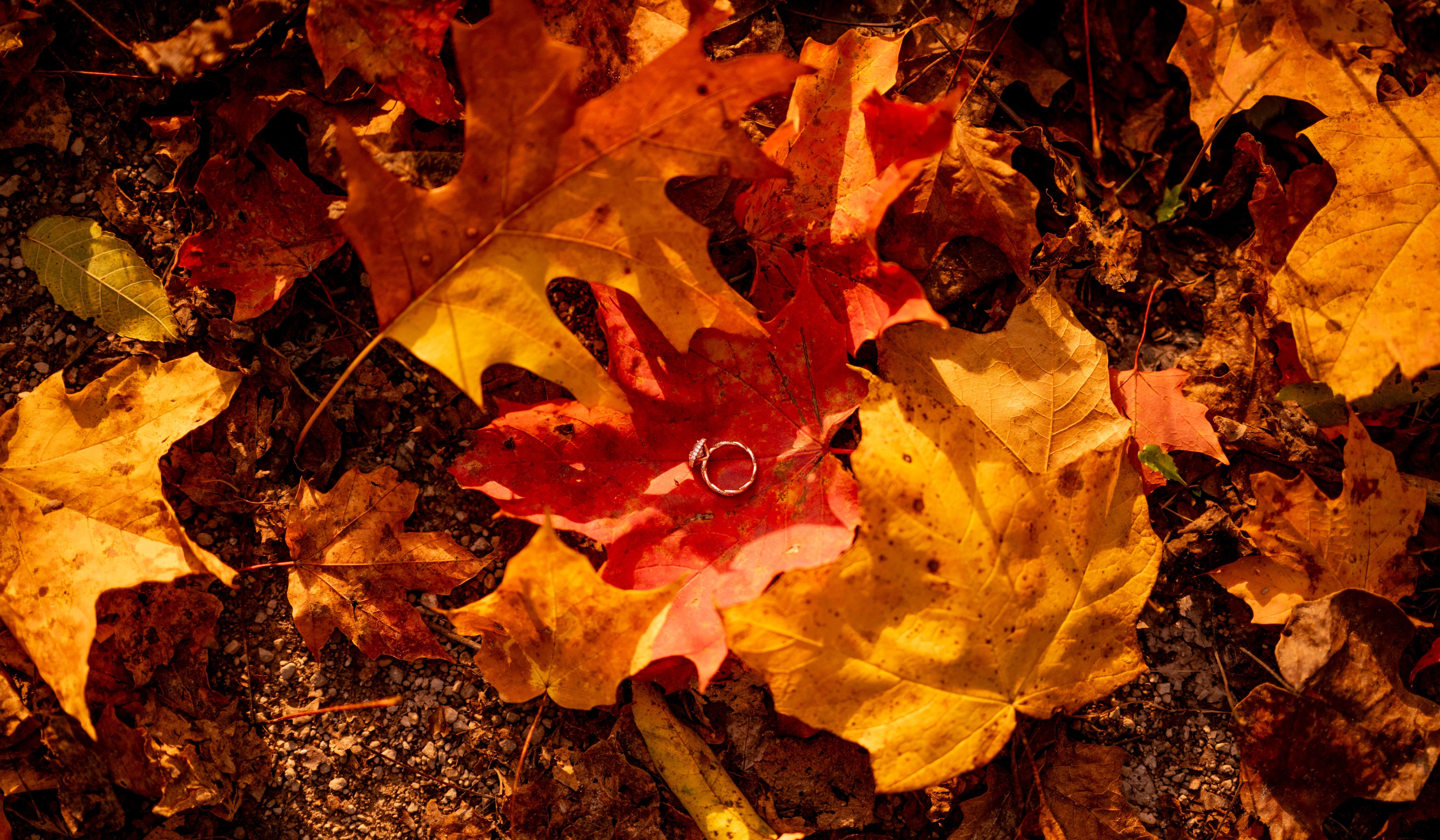 Footer image