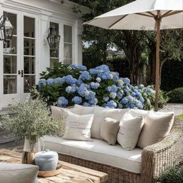 Our DREAM Patio Fund