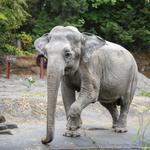 Point Defiance Zoo & Aquarium