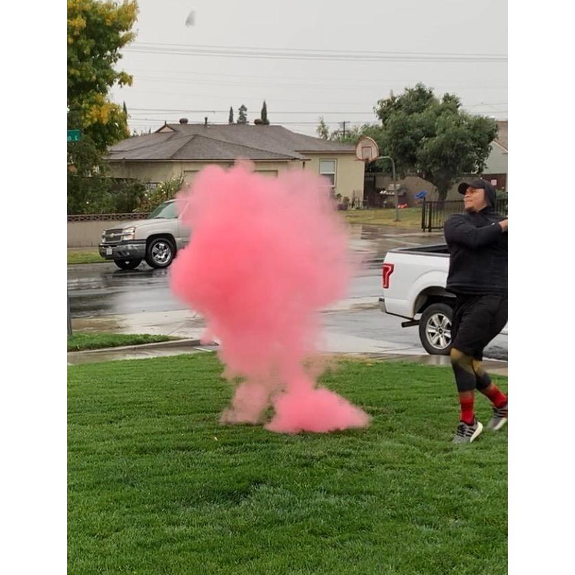11/28/2019: Viv's gender reveal