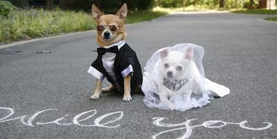 The Wedding Website of Christina Mendoza and Bryan Lopez