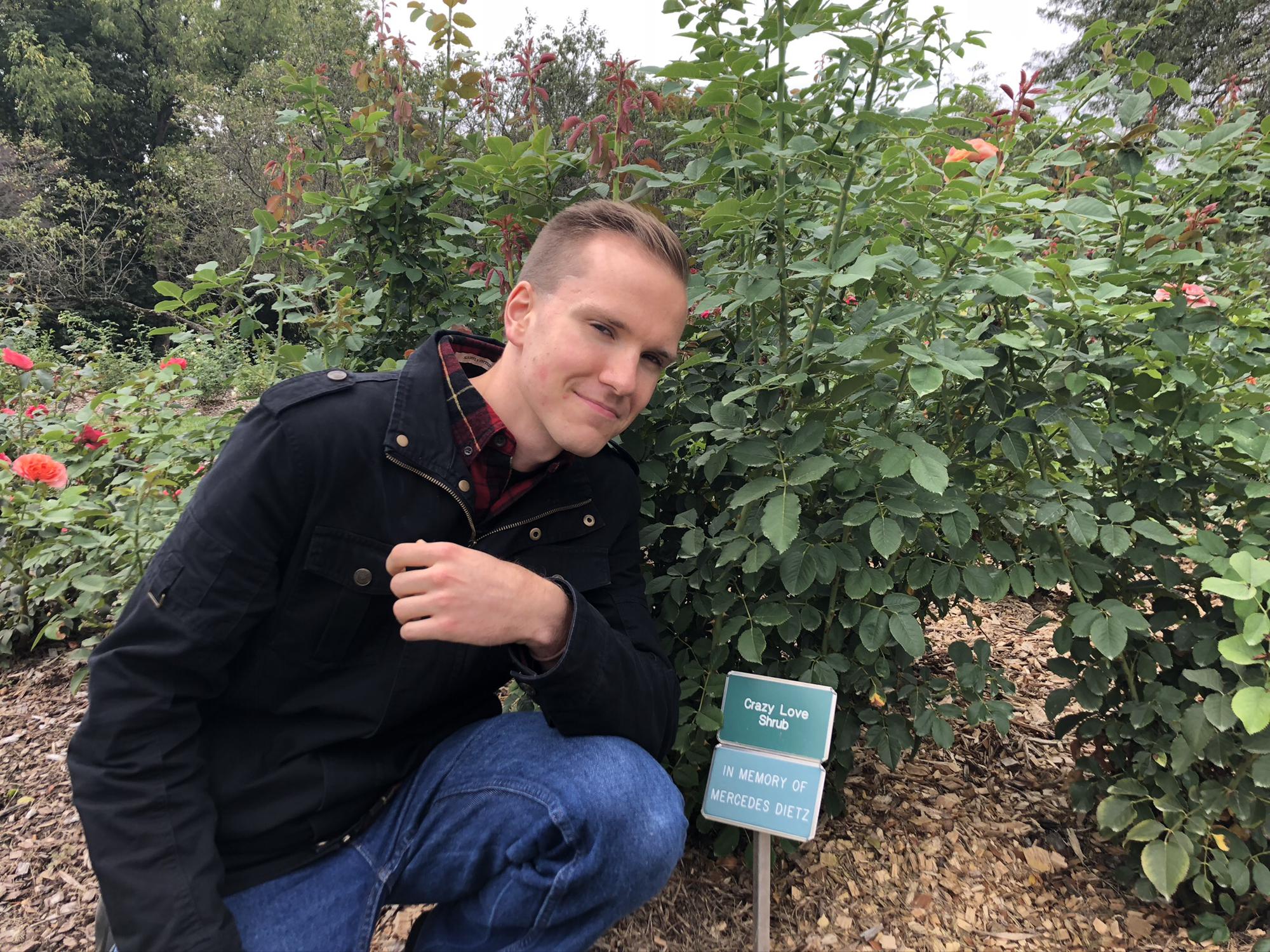My crazy love shrub