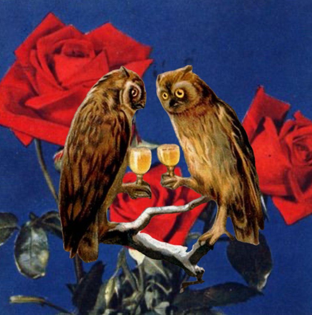 The Wedding Website of Annabelle Eliza Bonebrake and Ian Robert Gibbs