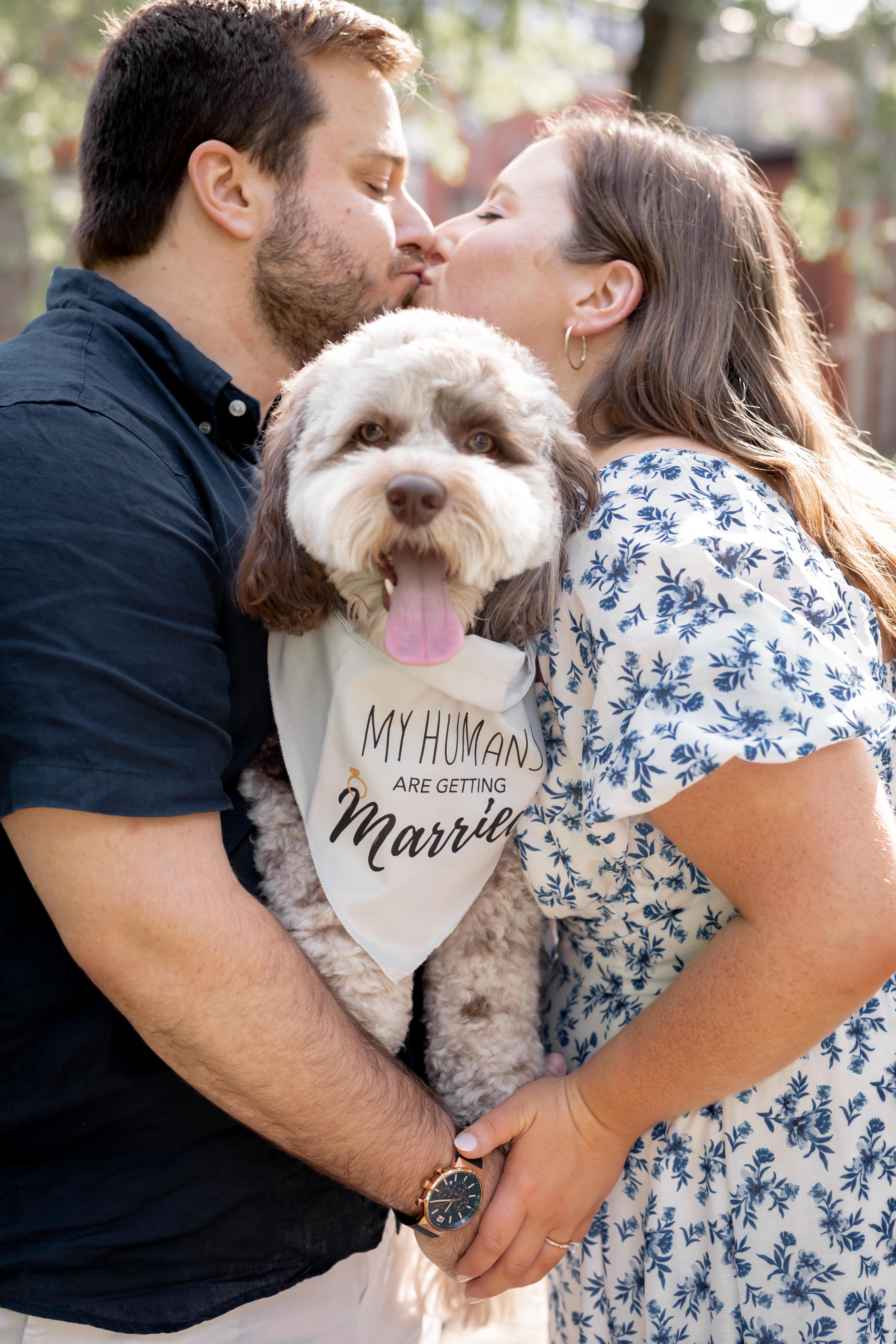 The Wedding Website of Colette Cook and Billy Barbaro