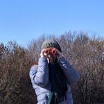 Bird Watching