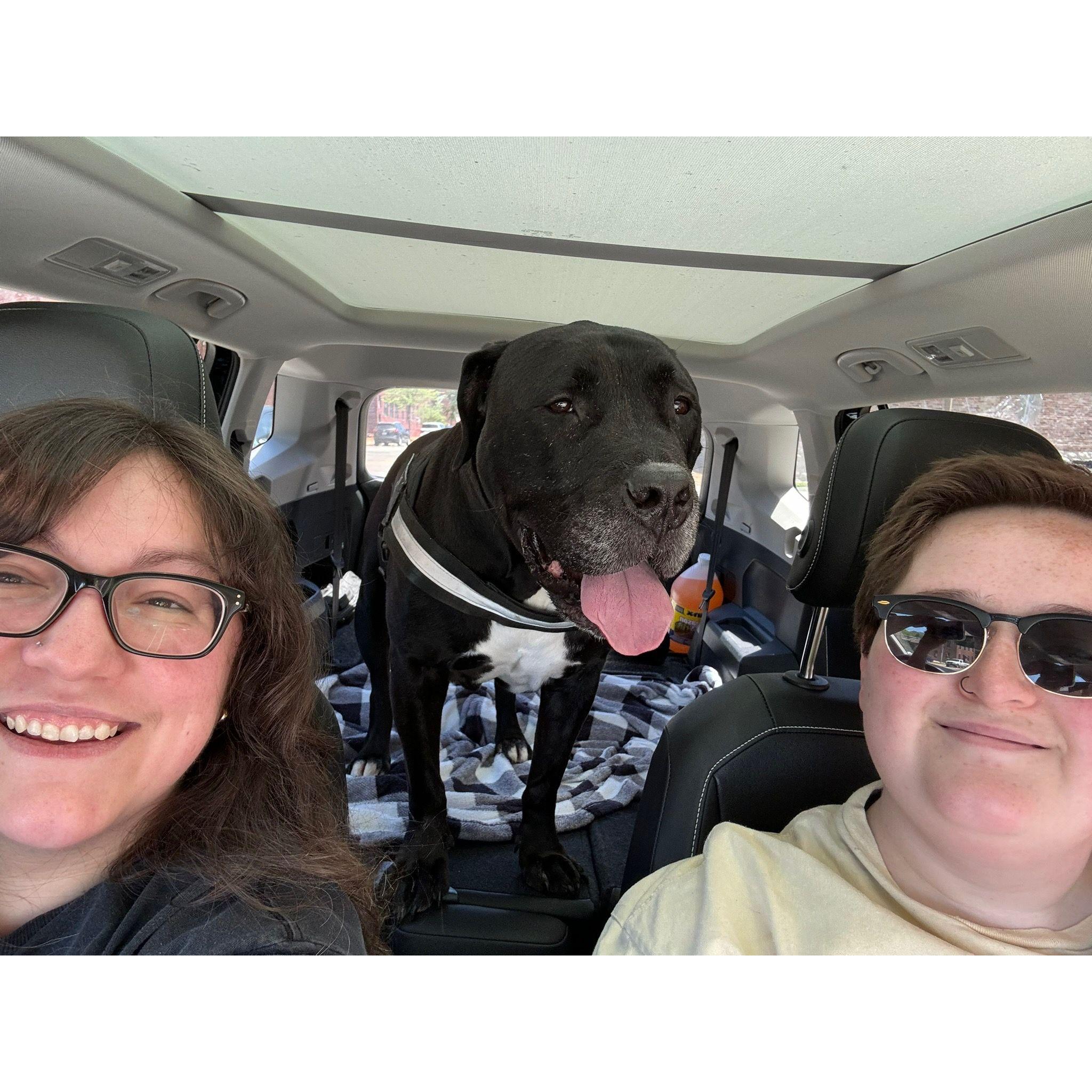 We stole our neighbors dog, Beef, and took him to the park! We love Beef so much, and loved taking him out!- Kelly