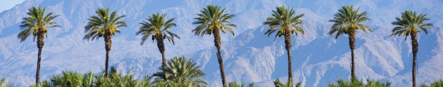 The Wedding Website of Kelsey Dimka and Richard Gaines