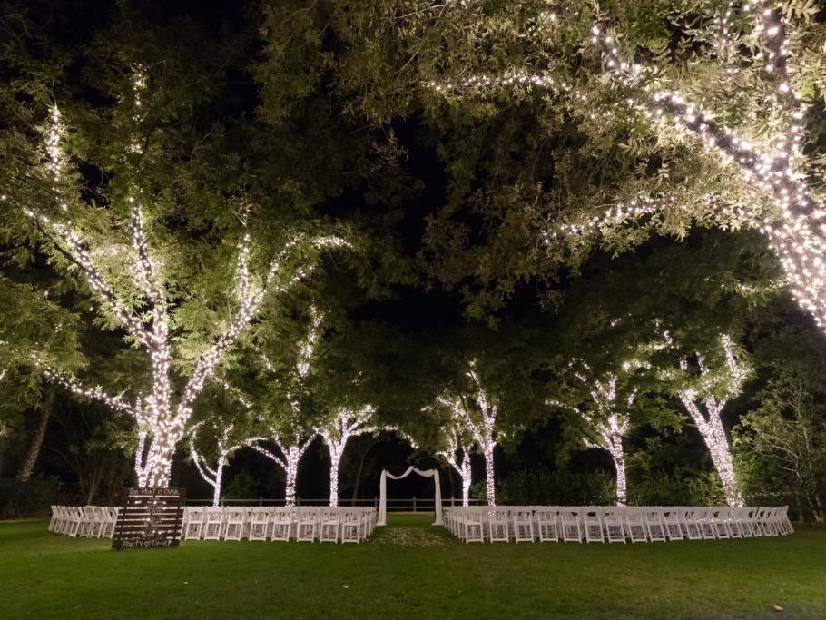 The Wedding Website of Megan Danielle Ebers and Isaac “Pimp” Pennock
