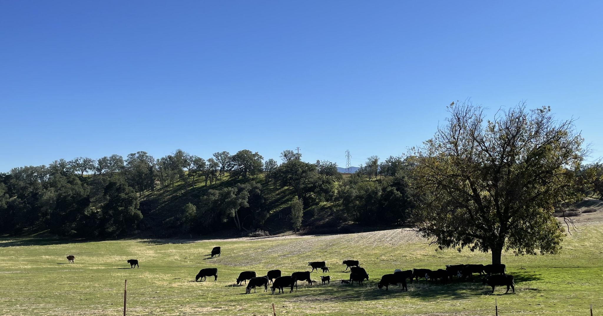 The Wedding Website of Tayler Philbrick and Dakota Towle