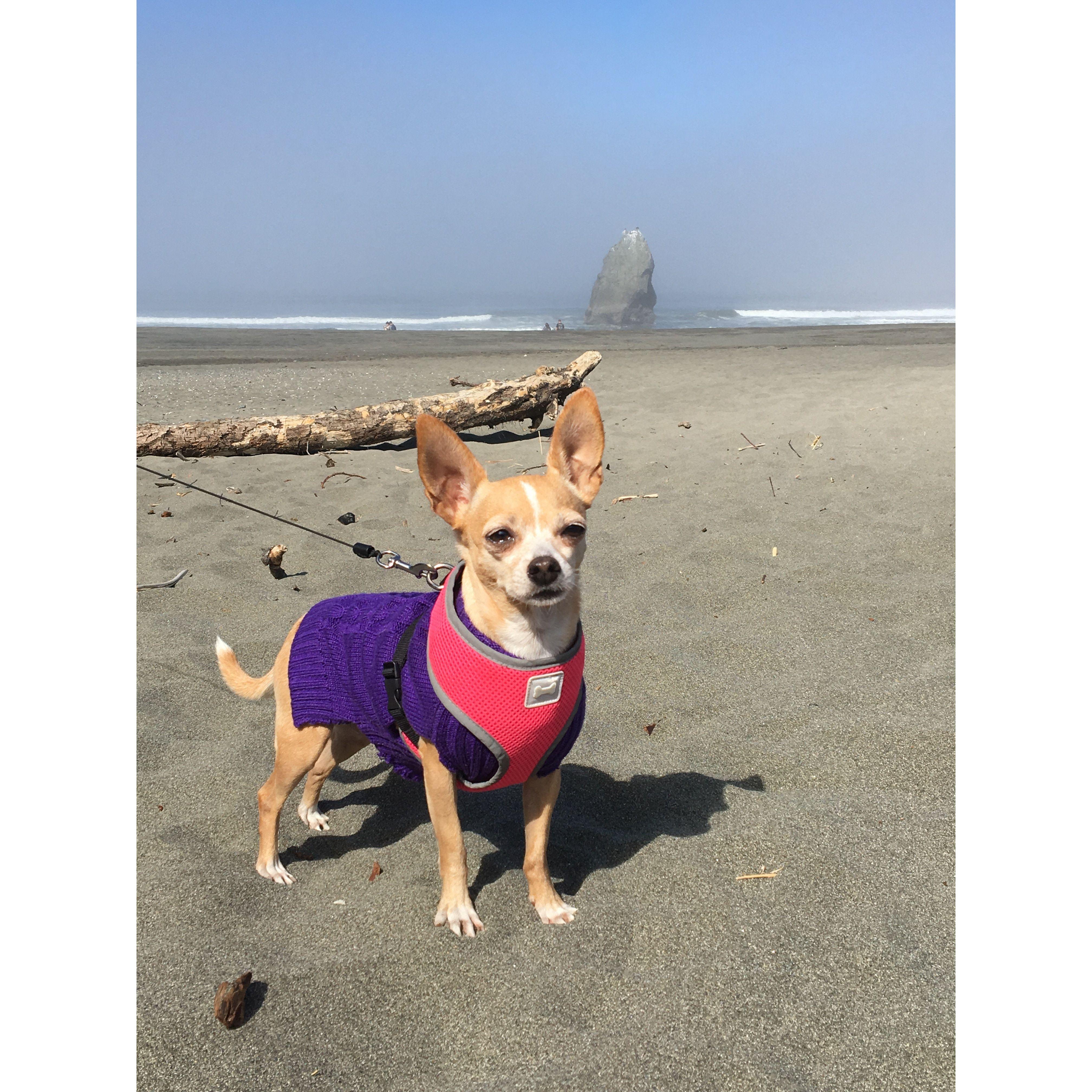 Laura's first time to the ocean, Gold Beach, OR 2019