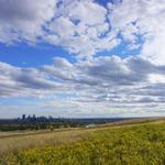 Nose Hill Park
