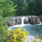 Wildwood Falls