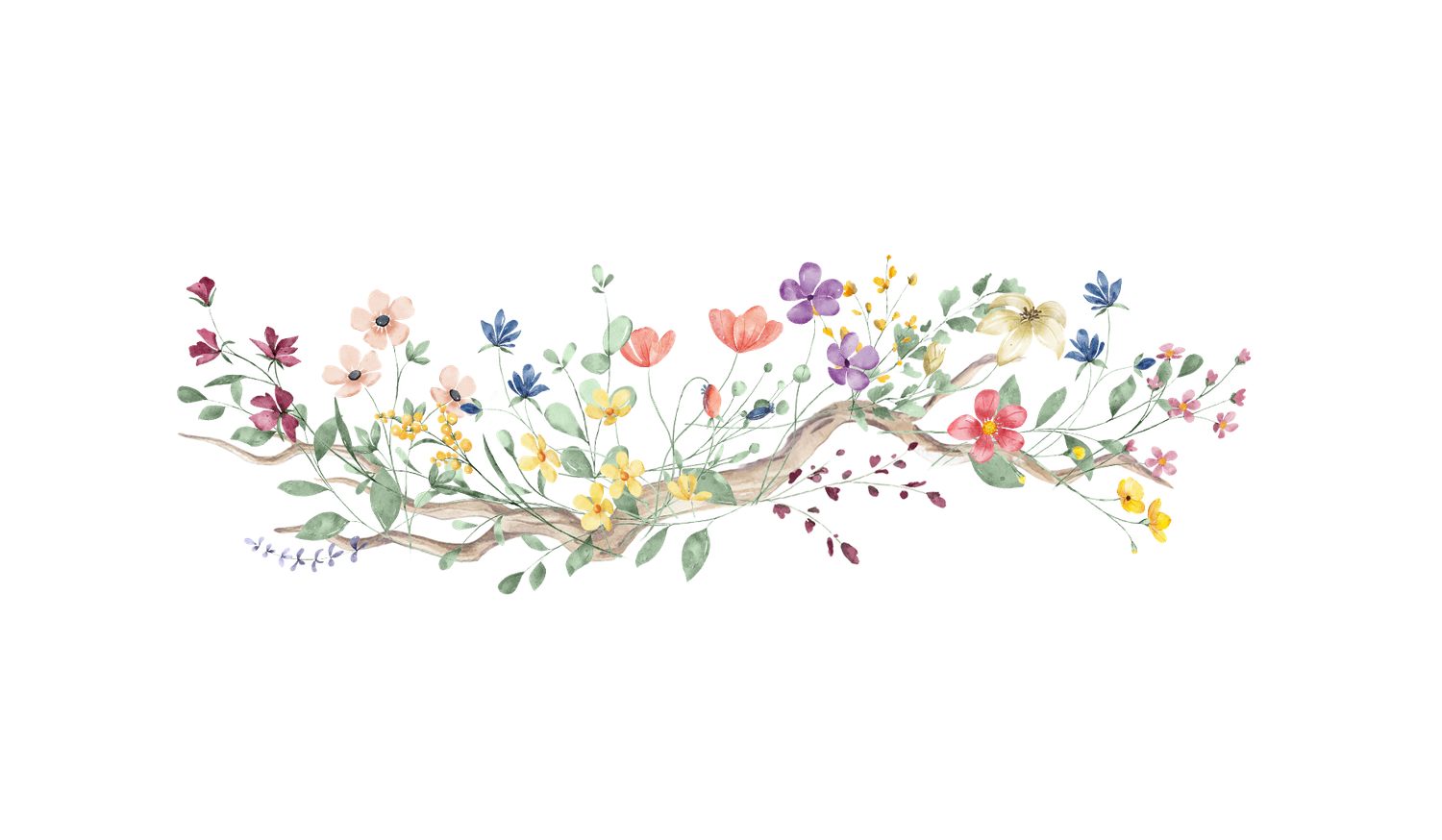 Footer image