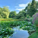 Hain Botanischer Garten