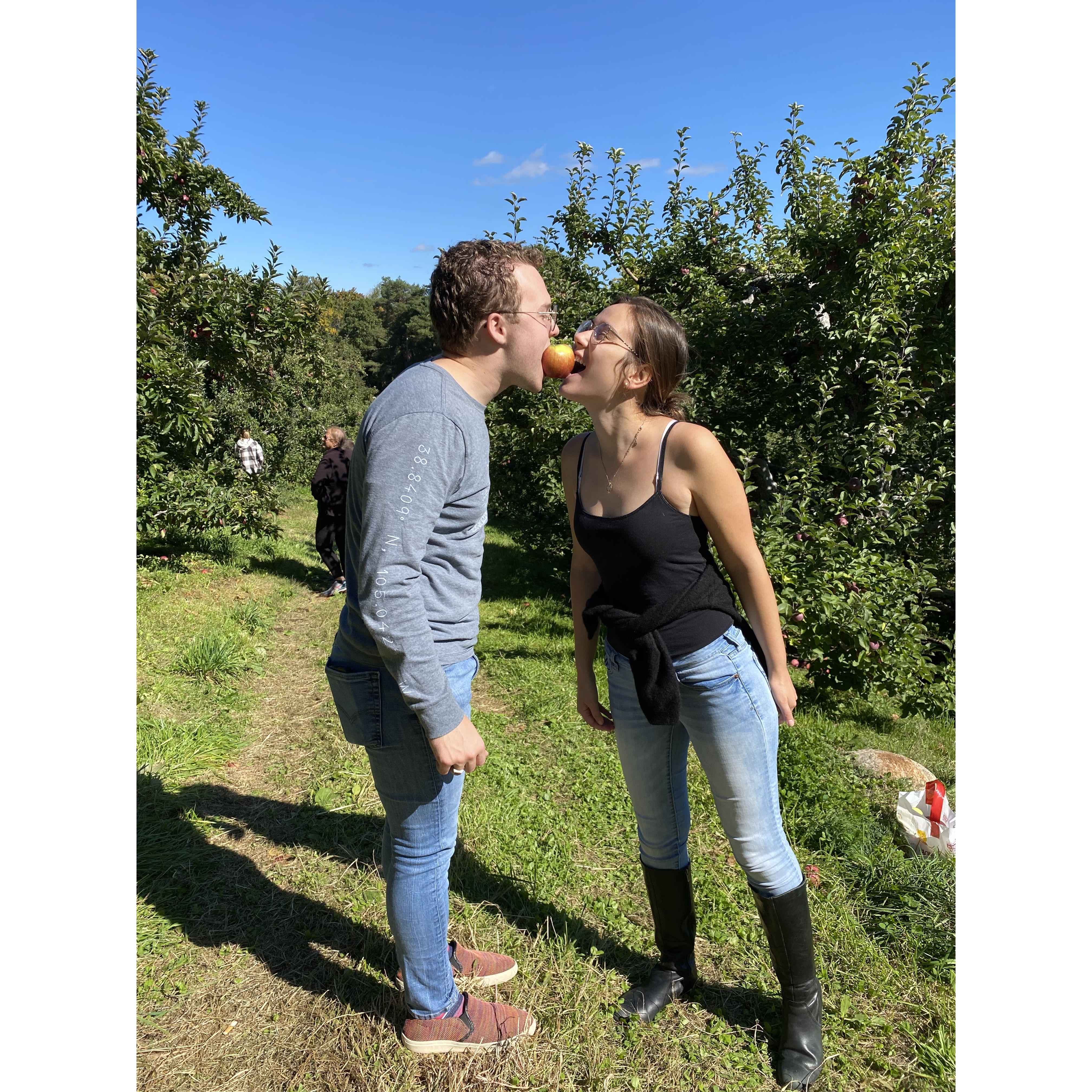 October 8. 2022: Another classic apple-picking photo