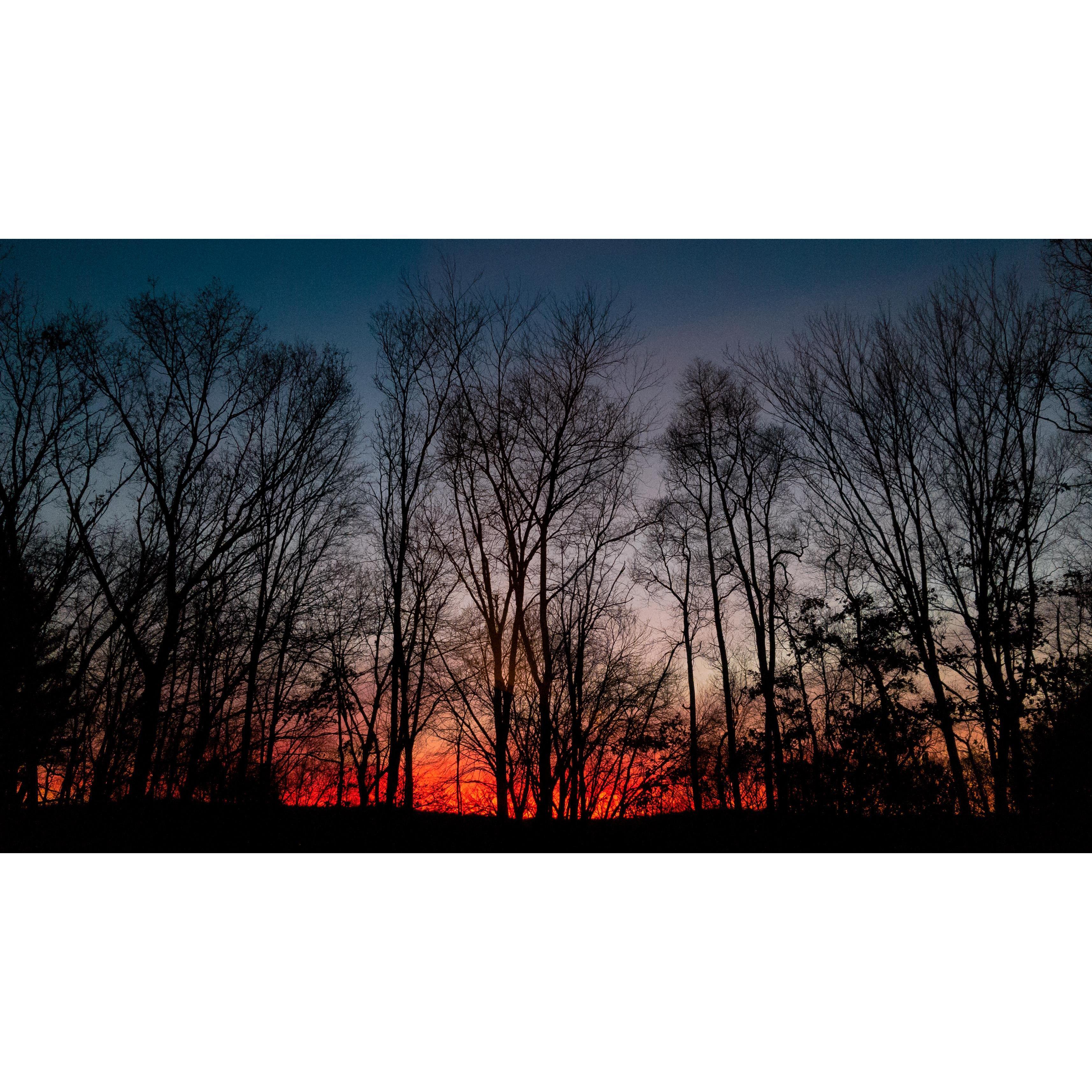 This was the sunset the night that Jared asked Alex to marry him: November 14, 2019