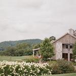 Check Out a Winery