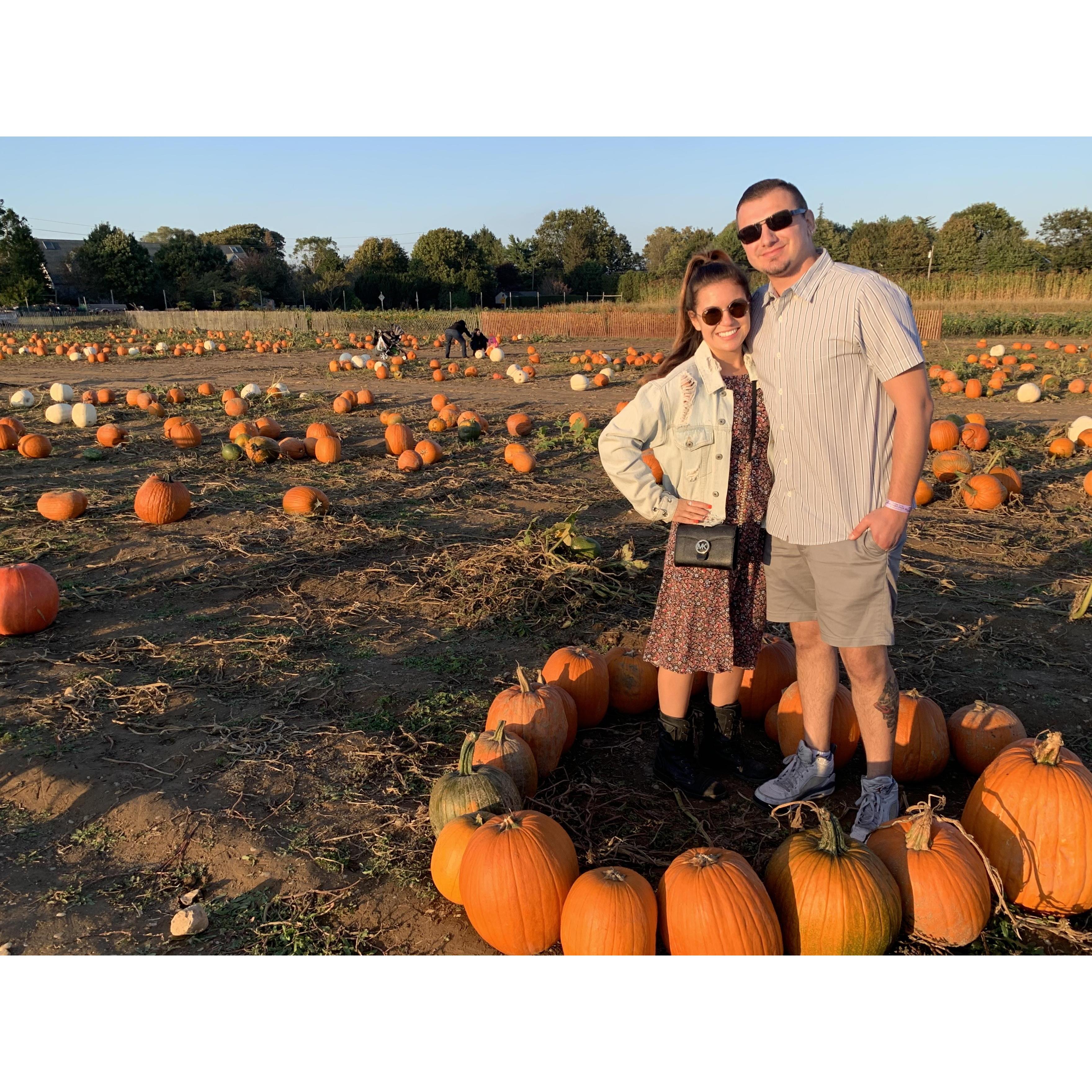 Happy Six Months at Harbes Farm
October 14, 2019