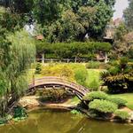 The Huntington Library, Art Museum, and Botanical Gardens