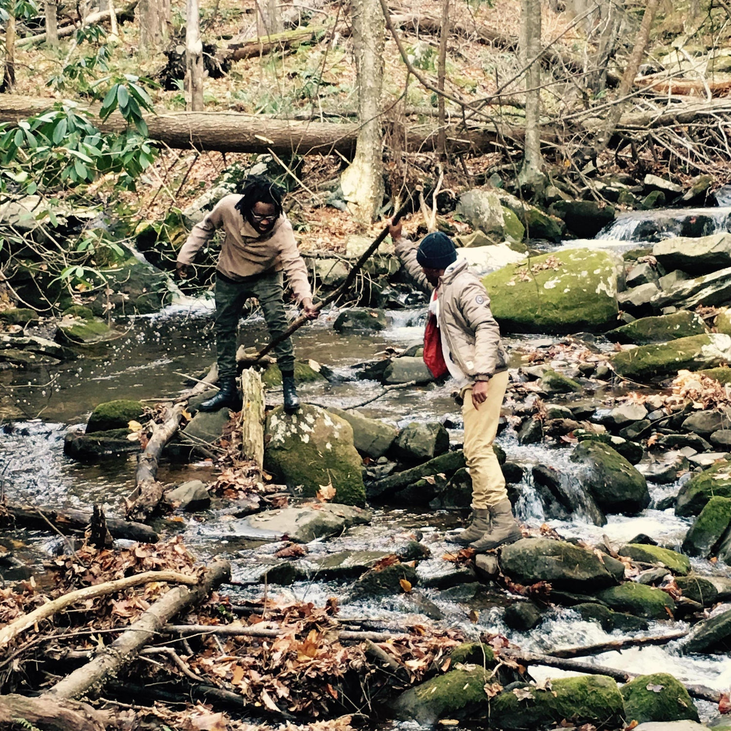 Catskill Mountains, NY '15