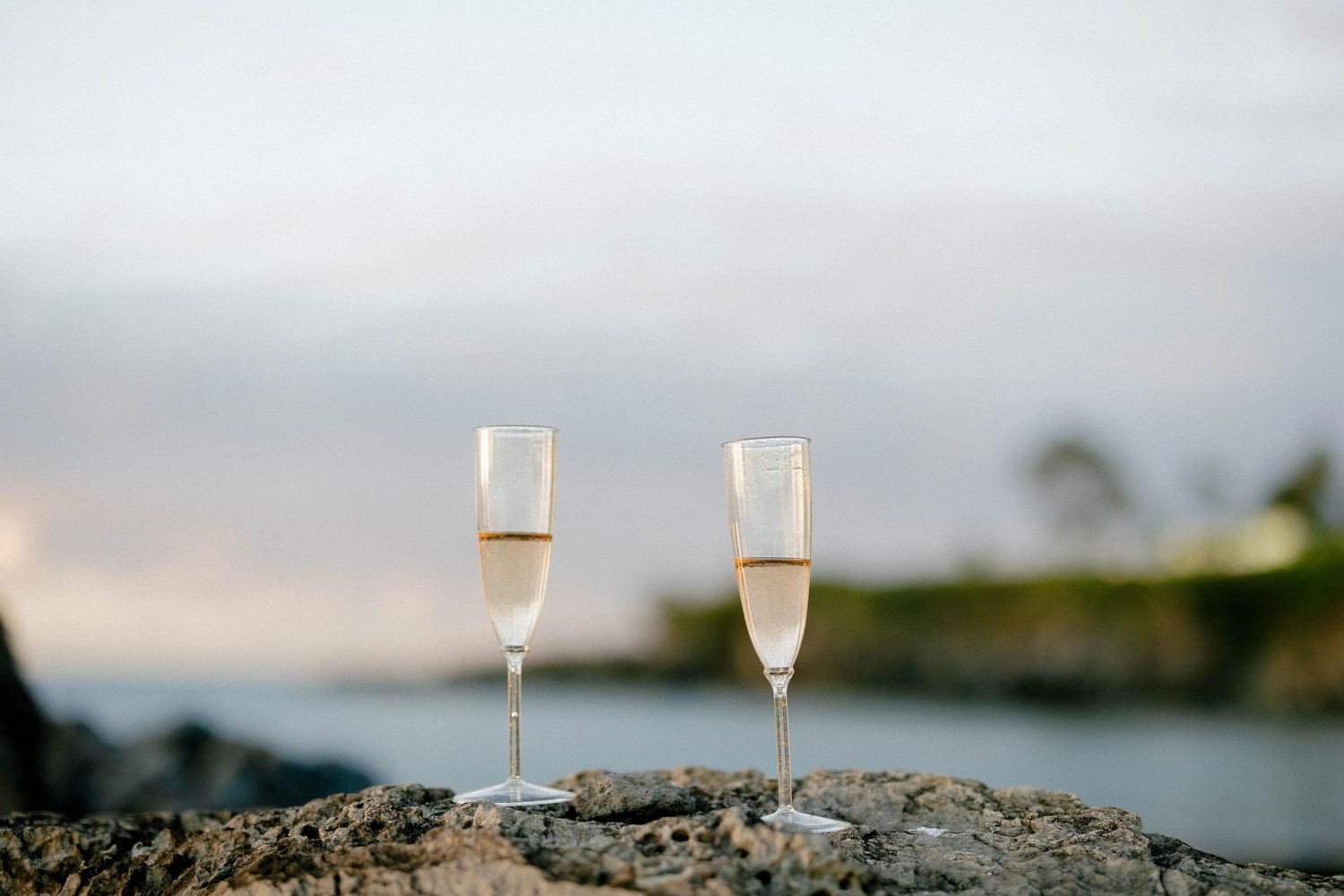 The Wedding Website of Carly Myers and Brock Vanlandingham