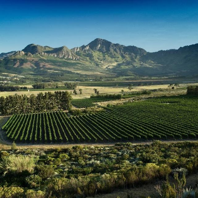 Cape Town Multi Winery Tour