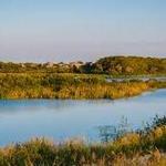 Cape May Bird Observatory