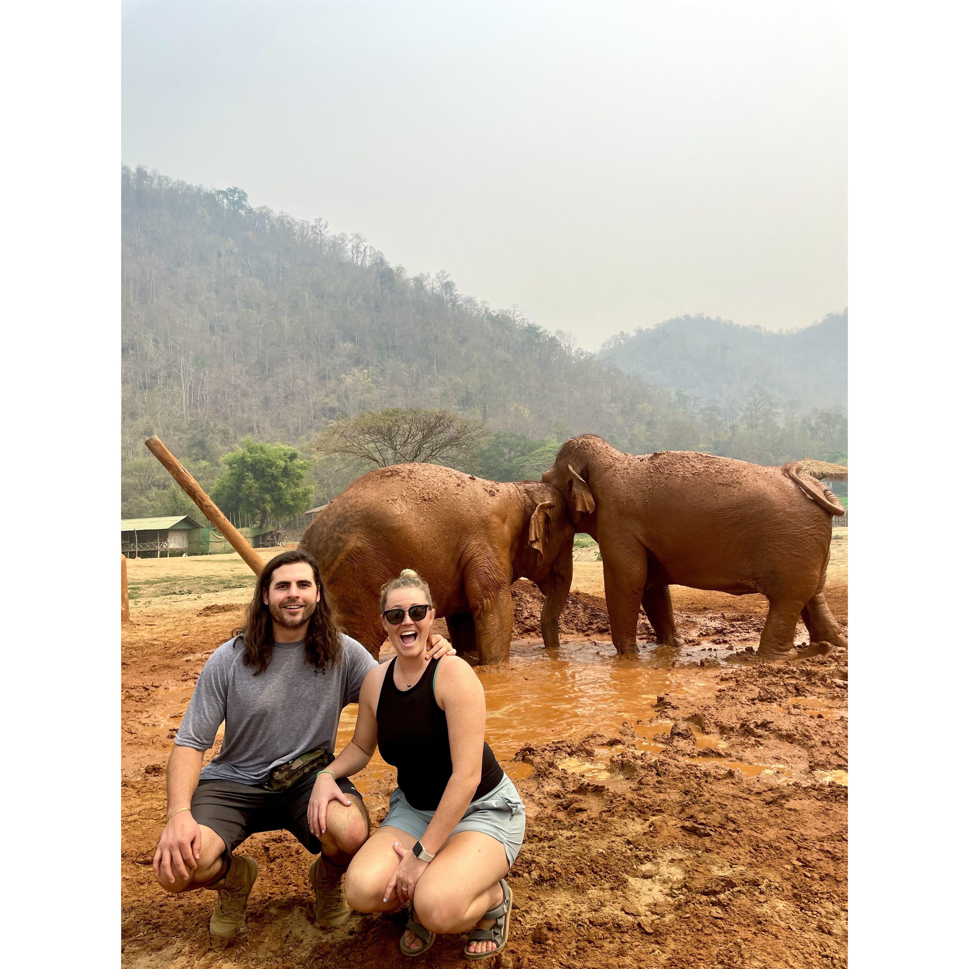 Visiting the elephants in Thailand