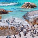 Boulders Beach