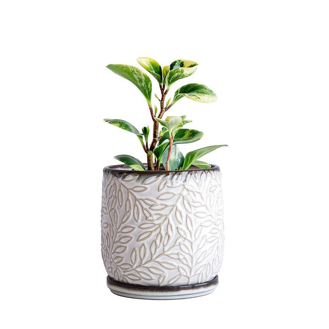 D'vine Dev 5 Inch Embossed Leaves Stoneware Planter Pot with Drainage Hole and Saucer, Smoked White, Set of 1, 27-A-V-1