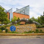 Tennessee Aquarium