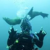 Snorkel and Dive