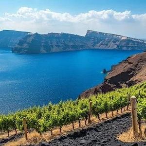 Santorini Wine Tasting