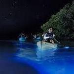 Bahía Bioluminiscente